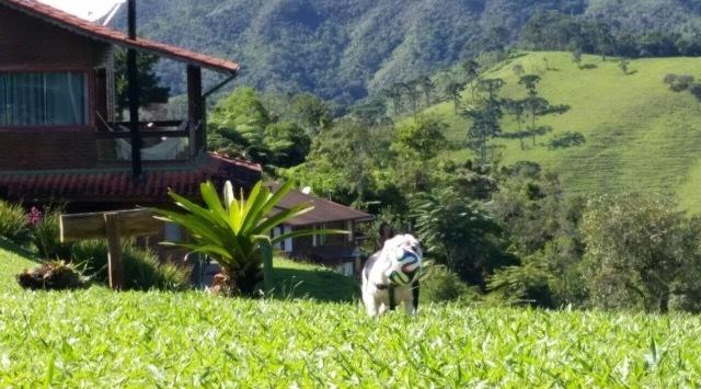 Chales Existe Um Lugar Maringá Buitenkant foto